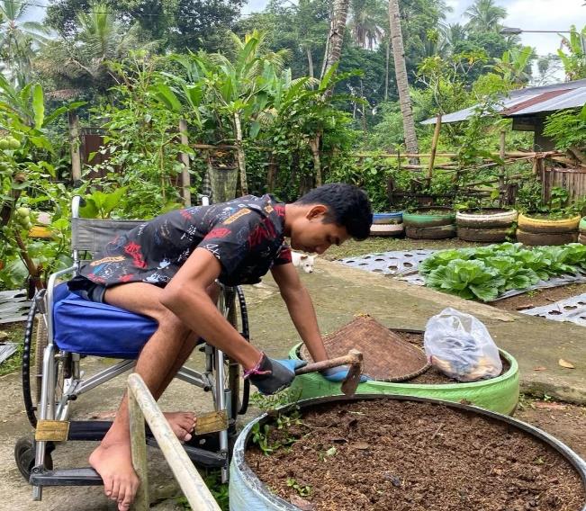 Kebun Organik
